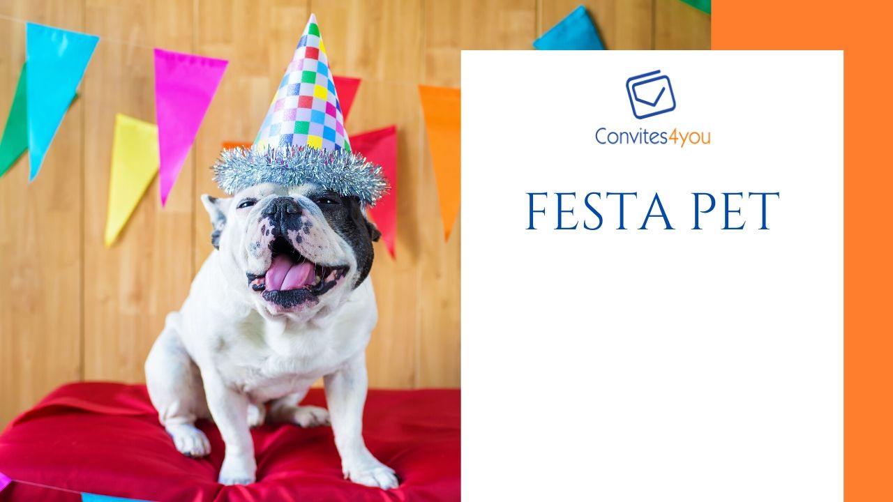 Festinha do Meu PET, e Eu vou ajudar as ONG´s 2026 2027